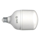 Lámpara Led Bulbon High Power E27 40w Candil Fria Color De La Luz Luz Fría 6500k