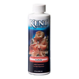 Iodine Concentrado Para Acuarios Marinos 236 Ml. Kent