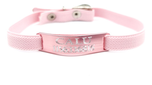 Chapita Gato Aluminio + Collar Reforzado Elastizado Rosa