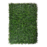 Placa De Grama 40x60 Com Buchinhos Verdes Paredes Kit 50 Uni