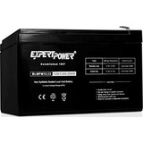 Batería Recargable 12v 12ah Con Terminales F2 || Exp12120