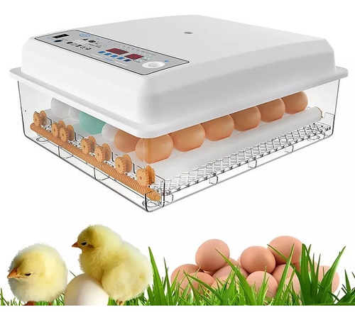 Incubadora Automática De Aves Corral Para Pollos, 16 Huevos