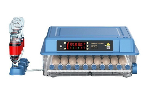 Incubadora De Huevos Digital Automática 64 Huevos 220v/12v
