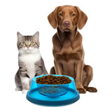 Platos Para Gatos Dispensador De Comida Perros Bebedero Gato
