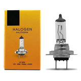 Lampada Halogena 12v Tech One Caixinha 4300k H7 55w Un