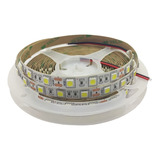 Rollo X 5 Mts Tira De Led 5050 Blanco Frío Interior 14,4w