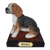 Cachorro Estatueta Beagle Resina