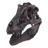 Dinosaurio Tyrannosaurus Cráneo Resina Modelo Fósil