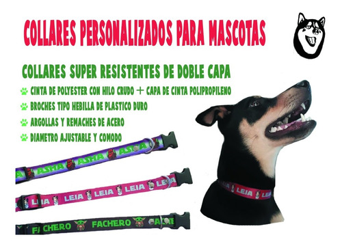 Collar Personalizado Para Mascota