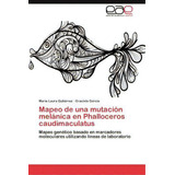 Mapeo De Una Mutacion Melanica En Phalloceros Caudimaculatus, De Mar A Laura Guti Rrez. Eae Editorial Academia Espanola, Tapa Blanda En Español