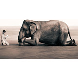 Elefante Y Niño Meditación 60x90cm Cuadro Canvas En Bastidor