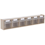 Organizador 6 Bins Transparentes E Inclinables 60x9,1x11,3cm