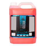 Auto Clean Apc Limpeza Pesada Automotiva 5l