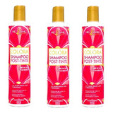 Kit 3 Nekane Shampoo Colora Post-tinte 300g