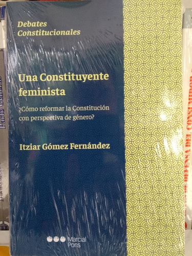 Gómez Fernández / Una Constituyente Feminista