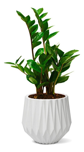 Vaso Polietileno Médio Origami Plantas Decor Casa Luxo 3d