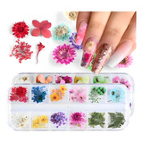 Flor Decoração De Unhas Encapsulamento C/ 12 Potinhos Cor Modelo-3