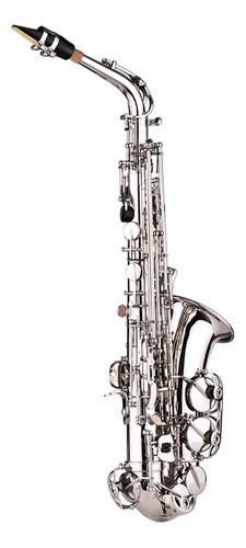 Patrón De Correas Talladas Para Saxofón Alto, Limpieza Con P