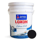 Loxon Larga Duración Exterior Mate Colores X 4lts Serrentino