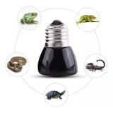 Foco Cerámica 50w Incubadora Termostato Acuario Reptiles