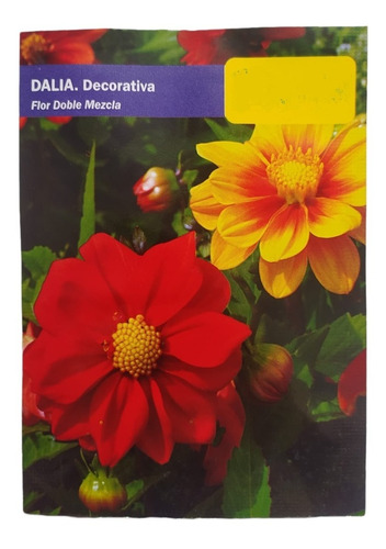 Semillas De Dalia (flor Doble Mezcla) X 15 Unidades.