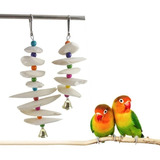 Set De Huesos De Jibia Para Aves Pethome