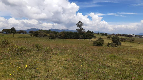 Lote En Venta En La Calera. Cod V1614270 - Imagen 4