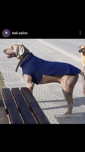 Ropa Para Perros Talle 7 Al 9 1 Prenda 