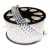 Mangueira Led Redonda Branco Frio 6000k 220v