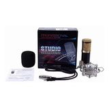 Micrófono Condensador Home Studio Bm-700 Pc