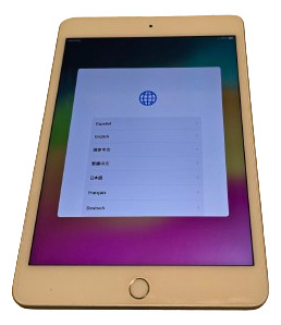 iPad Mini 256gb 5ta. Gen. Wifi+celular Y Pencil 1g /no Envio