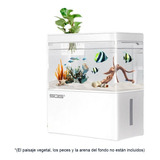 Acuario Con Luz Led Y Filtro De 1.8l