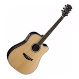 Guitarra Electroacústica Cort Parkwood Pw560 C/estuche