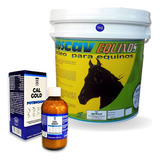 Phoscav 5kg Mineral Mangalarga Equinos Calgold Oral Ade B12