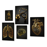 Kit 5 Quadros Decorativos Medicina Dourado Consultório Luxo