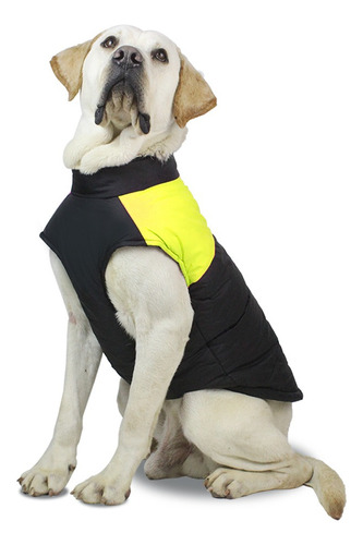 Parka Cierre Impermeable Para Tu Mascota Talla S - M - L