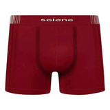 Promoção Cueca Boxer Box Sem Costura Selene 10 Pçs Ref 11070