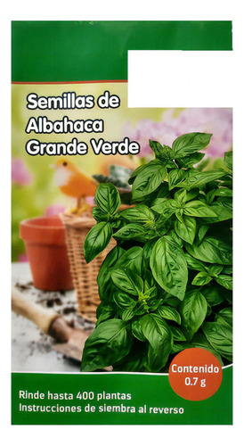 Semillas De Albahaca Grande Verde