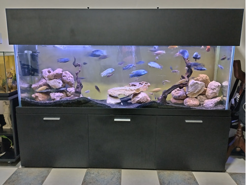 Acuario Completo De 1,95x70x45 