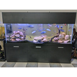 Acuario Completo De 1,95x70x45 