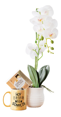 Arreglo Floral Zen Orquídea Para Regalar