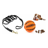 Pack Correa Perro Cuero 200cm X 16mm + Pelota Antiestrés 7cm