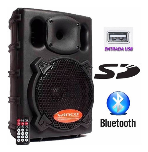 Bafle Parlante Winco Usb Dj Bluetooth Potencia 300w Karaoke