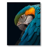 Quadro Decorativo Grande Arara Azul Animais Selvagens