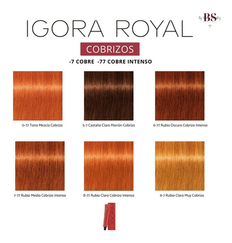 Igora Royal Cobres - Coloración Permanente - 60ml