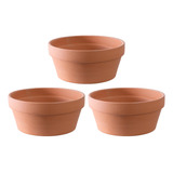 Macetas De Terracota Para Suculentas, Cactus, Bonsái Juego