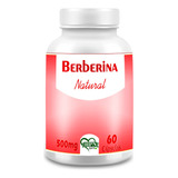 Berberina Produto Fitoterápico Natural 60 Cápsulas/ 500mg