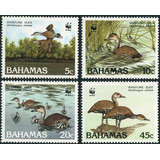 1988 Wwf Fauna- Aves Patos- Bahamas (sellos) Mint