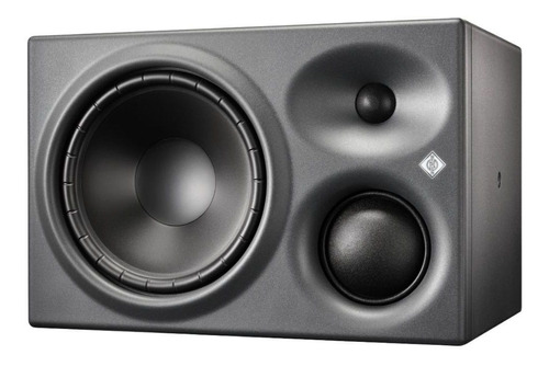 Monitor De Estúdio Ativo Neumann Kh 310 A R G (r)