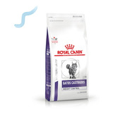 Royal Canin Weight Control 12k Gatos Castrados El Molino